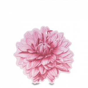 Multipurpose Perfumed Flower Shades of Dahlia