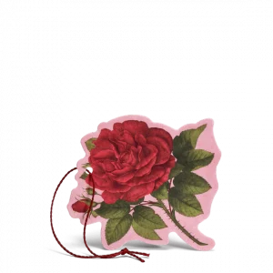Нил Ягаан Сарнай /Үнэртүүлэгч/ - Multipurpose Perfumed Flower Purple Rose