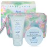 Dream Skin Beauty Pochette Dawn over Asia - Гоо сайхны багц